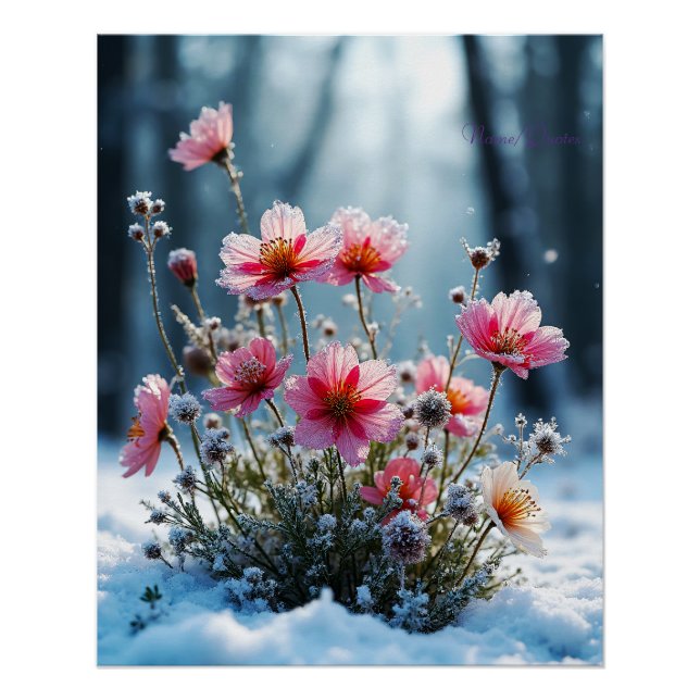 Winterblüte – Rosa Kosmos im Schnee Poster (Vorderseite)