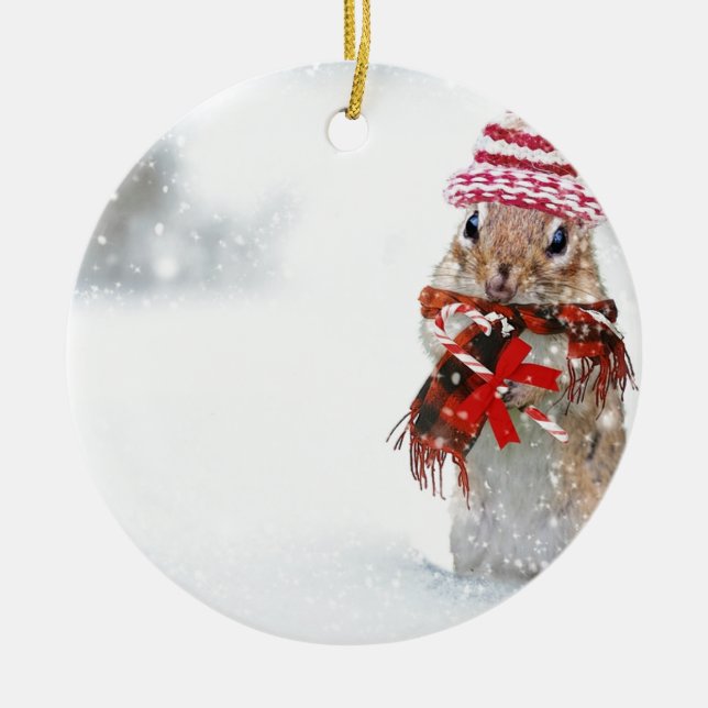 Winterchipmunk-Strick-Hut-roter Schal oben Keramikornament (Vorne)