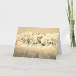 WINTERDUCKS IN FLIGHT FLIGHT FLIGHT Note Card