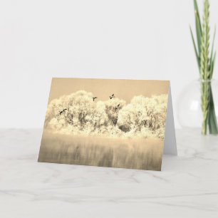 WINTERDUCKS IN FLIGHT FLIGHT FLIGHT Note Card