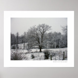 Wintereiche Poster