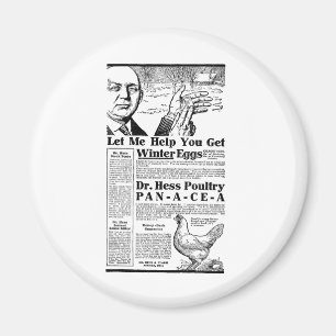 Wintereier Magnet