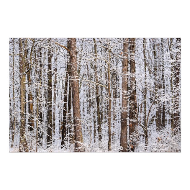 Wintereissturm im Wald Fotodruck (Vorne)