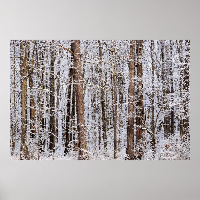 Wintereissturm im Wald Poster (Vorne)