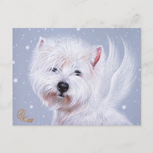 Winterengel (Westie) Postkarte (Vorderseite)