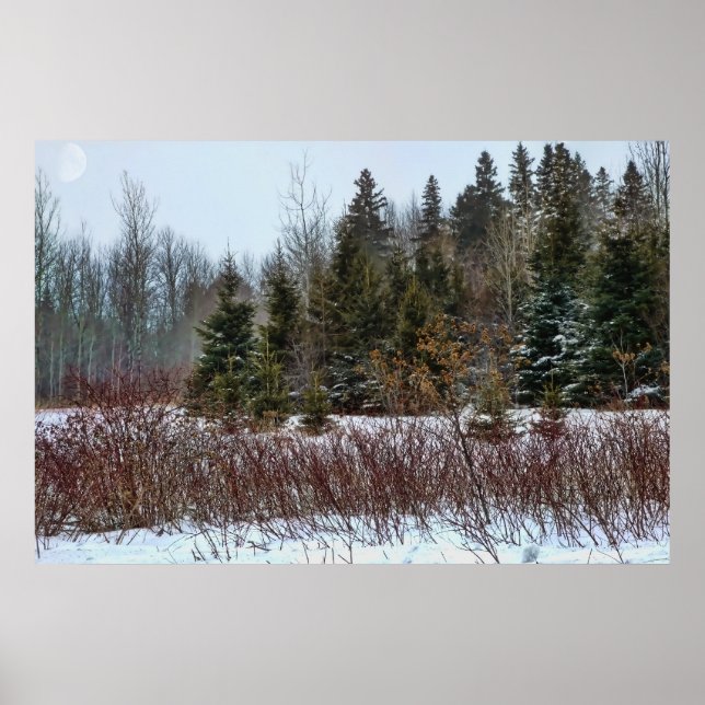 Winterfarben Poster (Vorne)