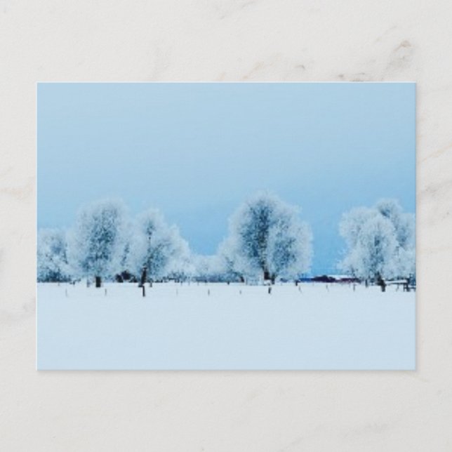 Winterfarm Postkarte (Vorderseite)