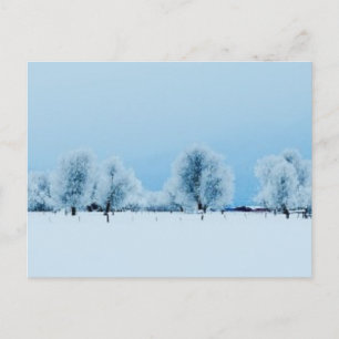 Winterfarm Postkarte
