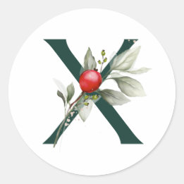 Winterfeiertage MONOGRAMM rote Weihnachtssternbeer Runder Aufkleber