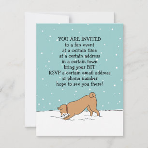 Winterferien Shiba Inu Party Ankündigungen