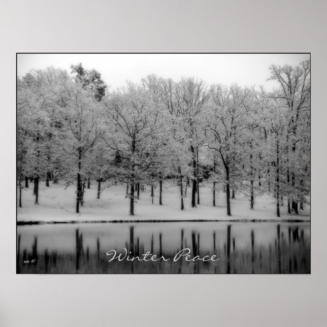 Winterfrieden Poster (Vorne)