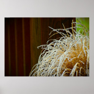 Winterfrieren, Poster