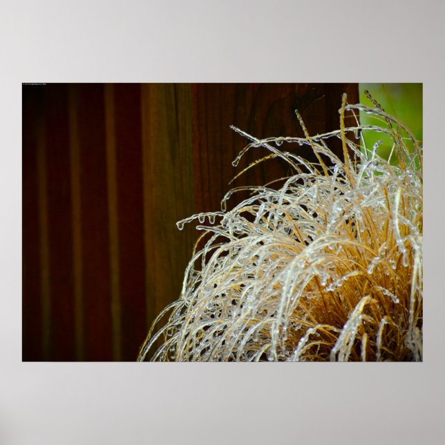 Winterfrieren, Poster (Vorne)