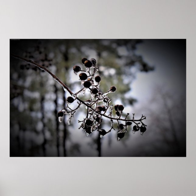 Winterfrieren, Poster (Vorne)
