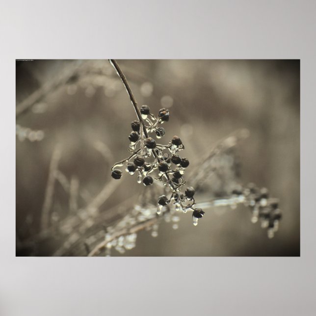 Winterfrieren, Poster (Vorne)