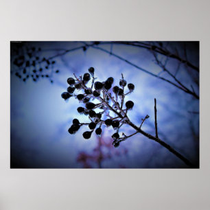 Winterfrieren, Poster