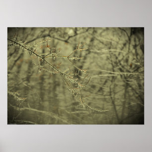 Winterfrieren, Poster