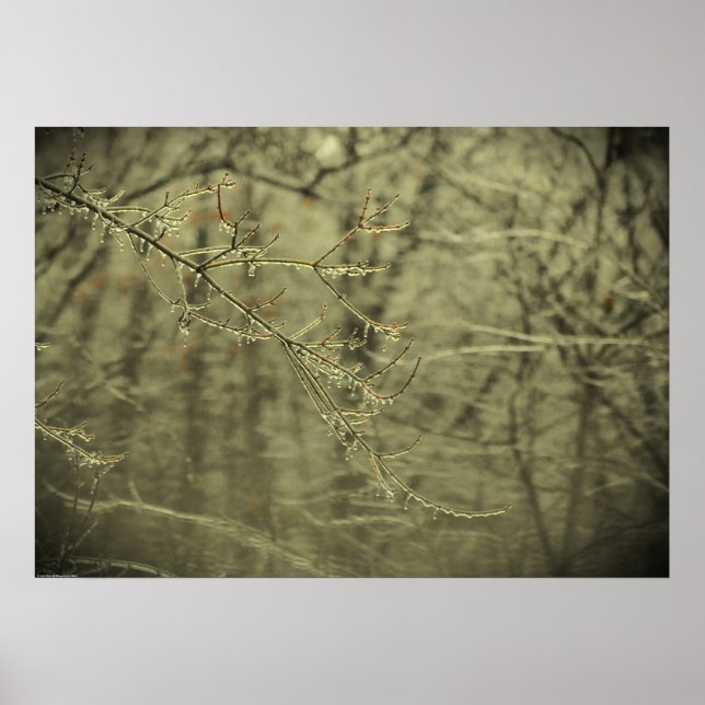 Winterfrieren, Poster (Vorne)