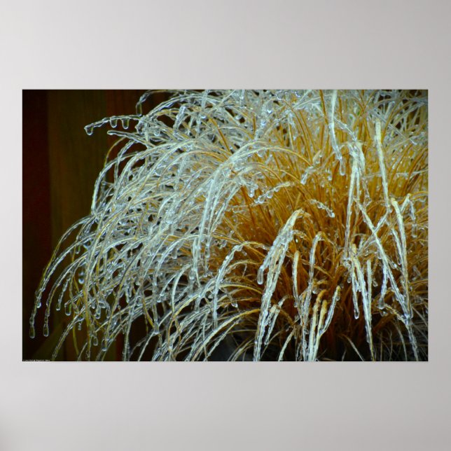 Winterfrieren, Poster (Vorne)