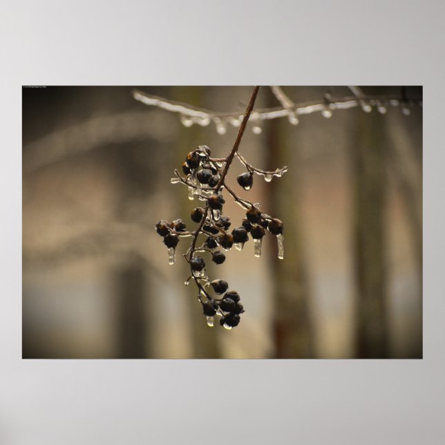 Winterfrieren, Poster (Vorne)
