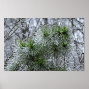 Winterfrieren, Poster