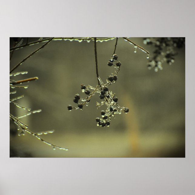 Winterfrieren, Poster (Vorne)