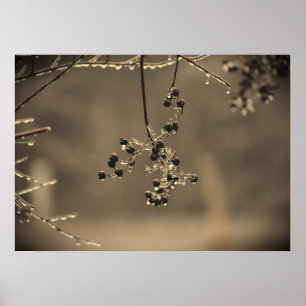 Winterfrieren, Poster