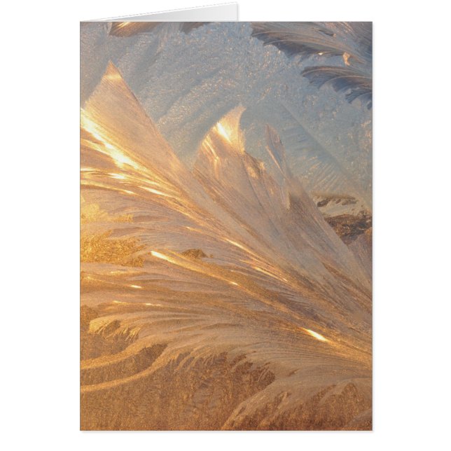 Winterfrost auf Glas (Vorne)