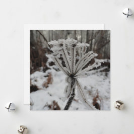 Winterfrost auf Pflanze im Wald Feiertagskarte