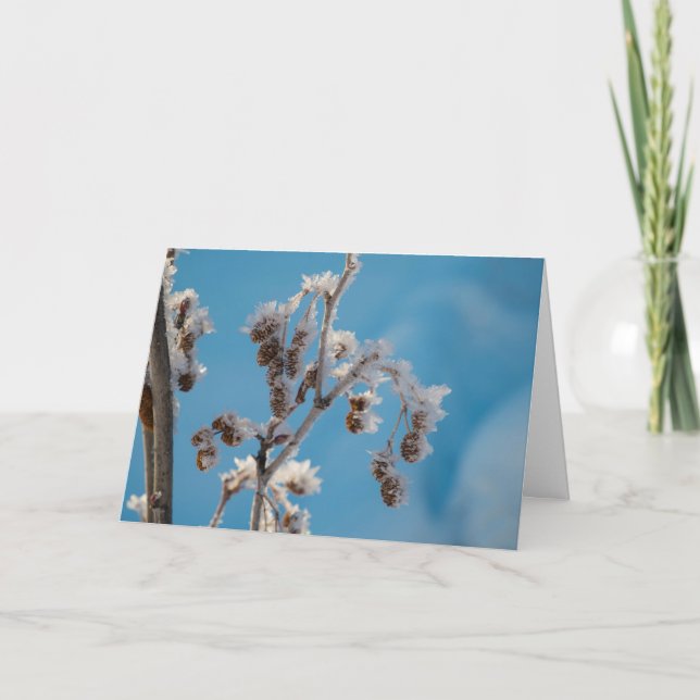 Winterfrost Feiertagskarte (Vorderseite)