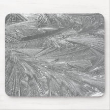 Winterfrost in Schwarz und Weiß