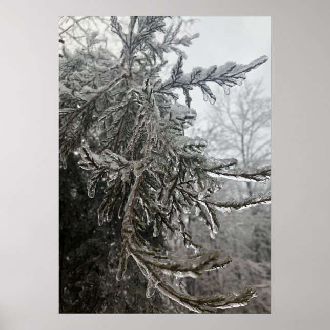 Winterfrost Poster (Vorne)