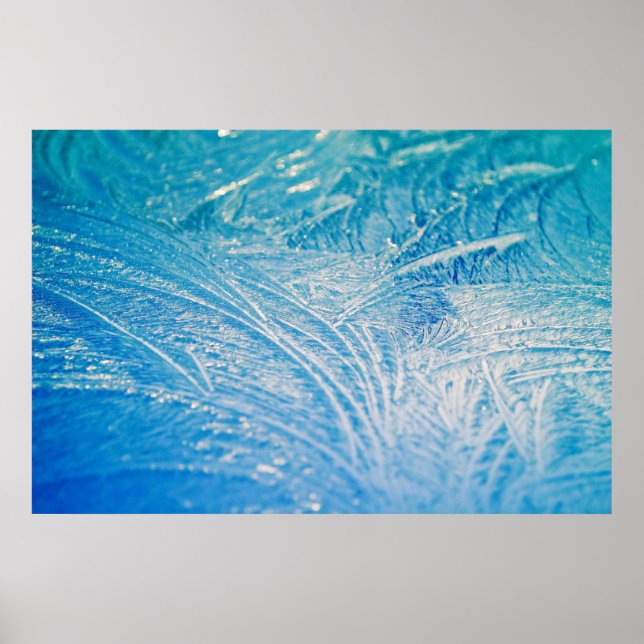 Winterfrost Poster (Vorne)