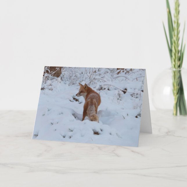 Winterfuchs Karte (Vorderseite)