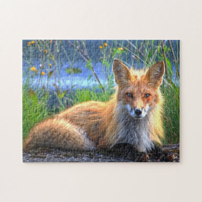 Winterfuchs Quebec Kanada. Puzzle (Horizontal)