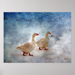 Wintergänse Poster