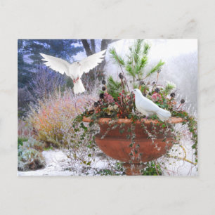 "Wintergarten" Postkarte