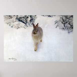 Wintergarten (Rabbit), Bruno Liljefors Poster