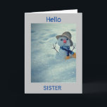 **WINTERGEBURTSTAG ZU MEINER *SISTER* KARTE<br><div class="desc">GEBEN ODER SENDEN SIE DIESE AN "***IHRE SCHWESTER*** UND DANKE FÜR DAS STOPPEN VON EINER MEINER ACHT GESCHÄFTE! DENKEN SIE DARAN,  SIE KÖNNEN DIE "VERSES" IN UND OUT ÄNDERN ODER HINZUFÜGEN,  WENN SIE IN SEKUNDEN WÜNSCHEN!</div>