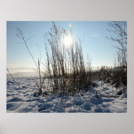 Wintergras - poster