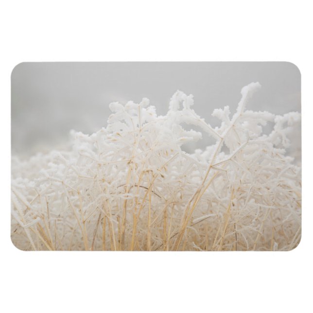 Wintergräser mit Raureif Magnet (Horizontal)