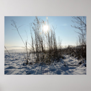 Wintergräser   - poster