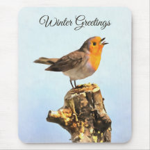 Wintergrüße. Rotkehlchen singt
