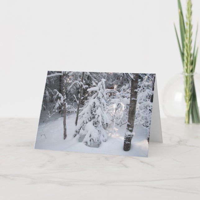 Wintergrüßkarte Karte (Vorderseite)