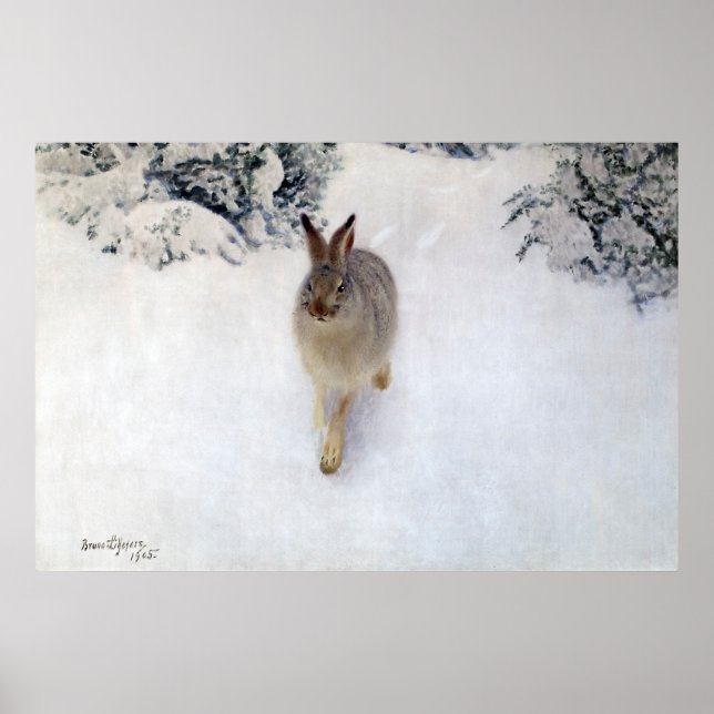 Winterhaar (Kaninchen), Bruno Liljefors Poster (Vorne)