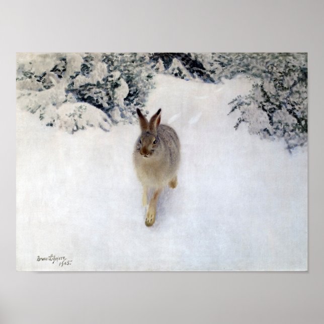 Winterhaar (Kaninchen), Bruno Liljefors Poster (Vorne)