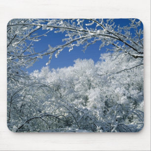 Winterhafen Mousepad