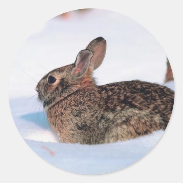 Winterhase Runder Aufkleber (Vorderseite)