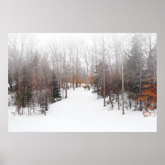 Winterhirsch Poster (Vorne)