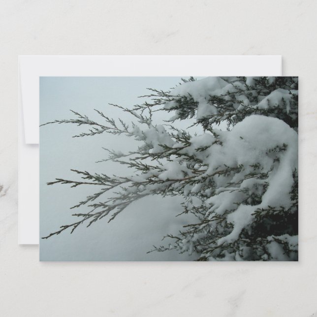Winterhochzeit Evergreen Baum mit Schnee Einladung (Vorderseite)